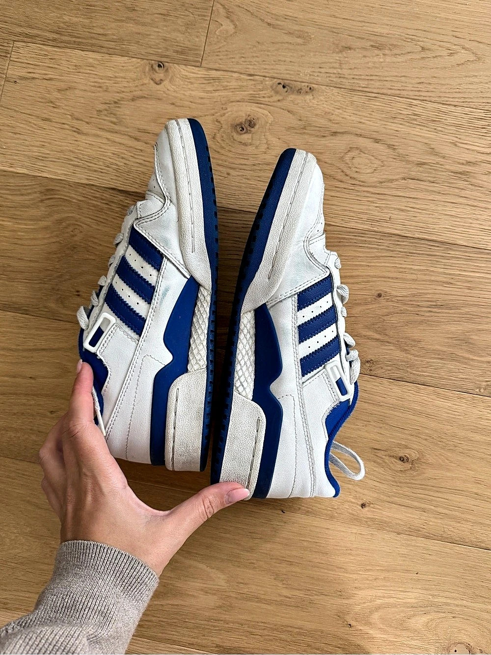 adidas Forum Low White Royal Blue & Blue Sneakers